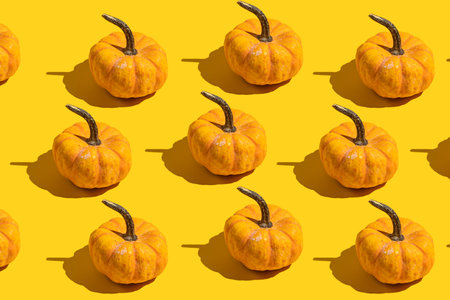 Hard light pattern of an orange pumpkin on yellow backgroundの写真素材