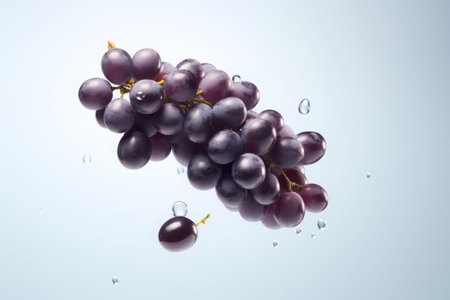 a clean detailed studio photo of dark blue fresh raw ripe grapes flying in the air on pastel gradient background. fruit food ingredient levitation.の素材