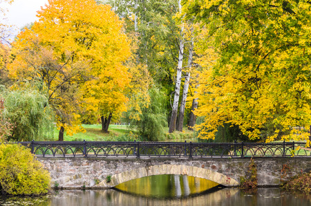 Autumn in the Parkの写真素材