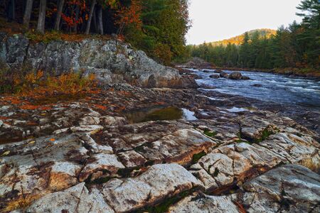 Mountain river in fall forest with red yellow leafs and rocky shore. Mountain river in autumn time. River in Canada.の写真素材