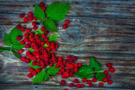 Ripe raspberries. Berries. A handful of raspberries. Natural ripe organic berries with peduncles,...