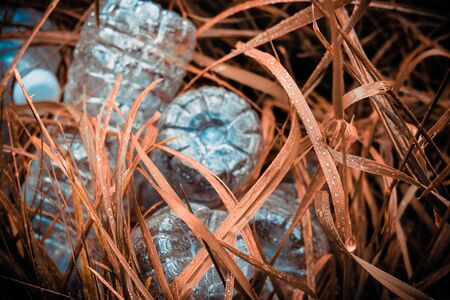 Plastic bottles in the dried grass. Problem in the natural environment, pollution of nature is not...