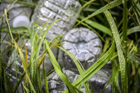 Ecology concept. Plastic bottles in the green grass. The problem of ecology, environmental...