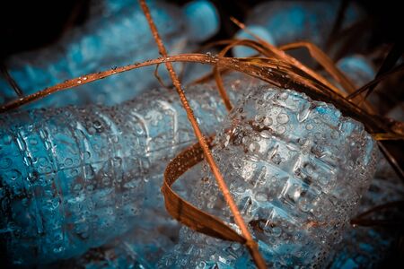 Plastic bottles in the dried grass. Problem in the natural environment, pollution of nature is not decomposing plastic. Protection of Nature.の写真素材