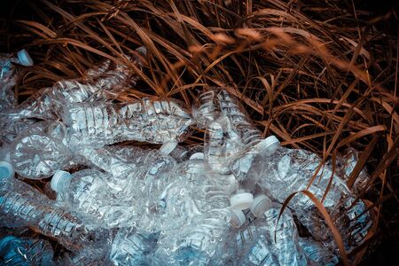 Crushed plastic bottles of mineral water and bottle caps on green grass in nature. Concept of environmental protection. Littering of environment.の写真素材