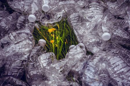 Ecology concept. Plastic bottles in the green grass. The problem of ecology, environmental pollution. Protection of Nature.の写真素材