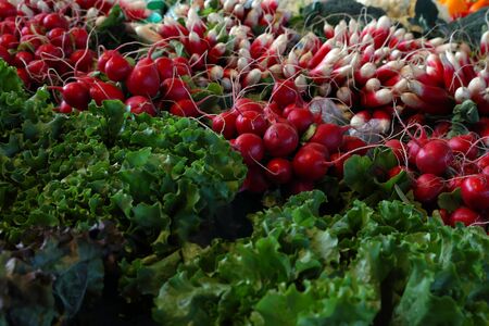 Farm market photo with different vegetables and greens. Organic products and healthy lifestyle. Fresh natural background.の写真素材