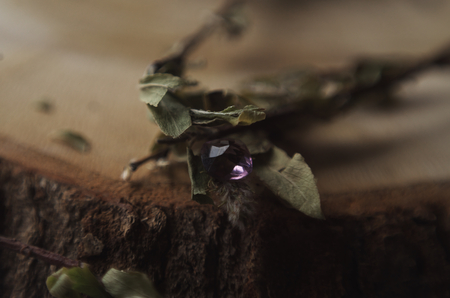 jewelの写真素材