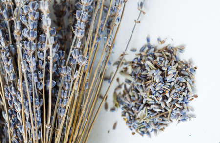 Bunch of dried lavender on a white background.の写真素材