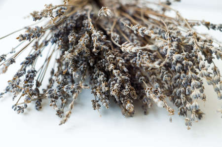 Bunch of dried lavender on a white background.の写真素材