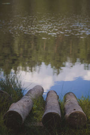 a fallen tree trunk floats in the azure calm water near the shore with rich flora. A beautiful log of driftwood in the blue lake water. Nature background with a wooden log and green grasses in a mountain lake close upの写真素材