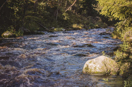 Wild forest river at sunset in the autumn Parkの写真素材