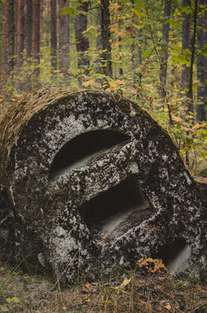 Stone ruins in the forest.autumn forest with moss