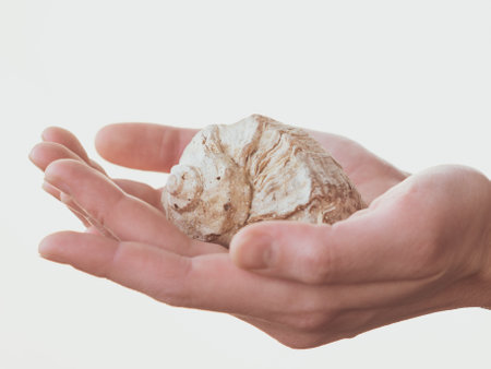 Woman holding a seashell against a white background. Close upの写真素材