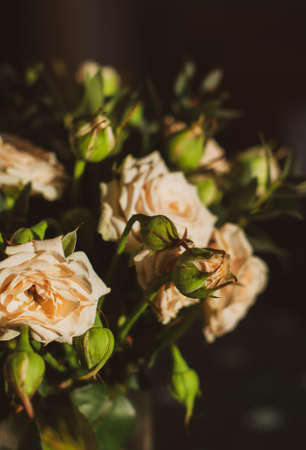 A bouquet of pink flowers on a table illuminated by the morning sun.の写真素材