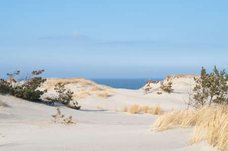 Sand dunes on the beach. Desert landscape.の写真素材