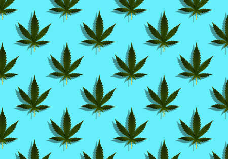 A cannabis leaf on a light blue background. Seamless pattern with the marijuana logo.Design textile, wallpaperの写真素材
