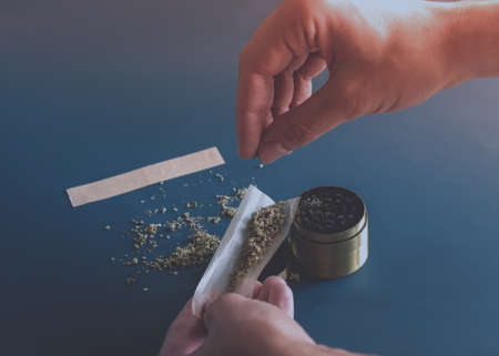 Close up man hands rolling a joint with herb girder to grind a cannabis buds on a blue background....