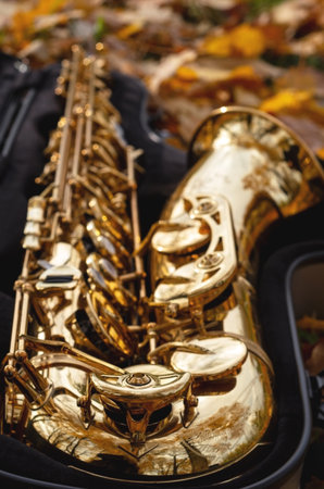 Close-up of a golden saxophone in a case against a background of yellow leaves.