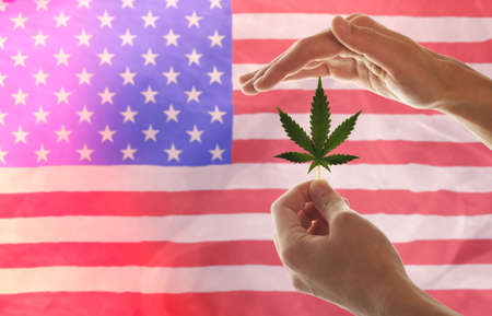 Woman's Hand Holding a Marijuana Leaf From a Medical Cannabis or CBD Hemp Plant on the background of the flag of USA. Medical marijuana cultivation in Americaの写真素材