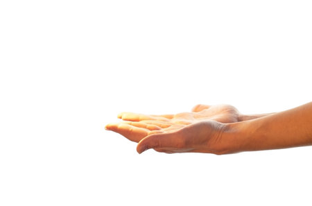 Women's hands hold empty space in open palms. The layout for the insert is isolated on a white background.の写真素材