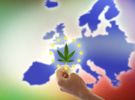 A woman's hand holds a cannabis leaf against the background of the EU flag. The concept of cannabis legalization in Europeの写真素材