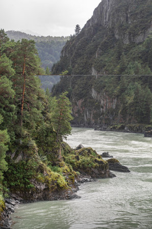 Mountain river among overgrown rocks during the rain. beautiful summer landscape. Altai Republic, Russia.の写真素材