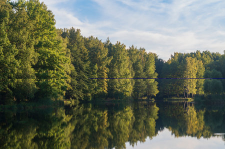 Forest landscape with a lake. Calm water in the lake. autumn landscape.の写真素材