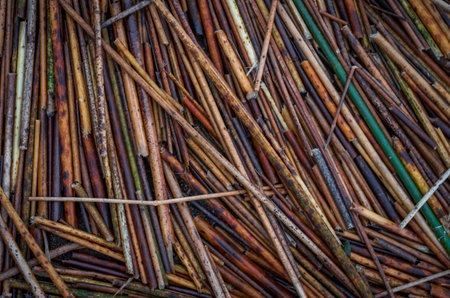 abstract natural background wet straw on the shore.