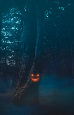 Gloomy and dark forest. vertical halloween backgroundの写真素材