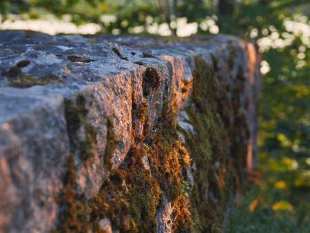 The old granite wall of the European cemetery overgrown with moss under the rays of the setting sun: time history memory light.の写真素材