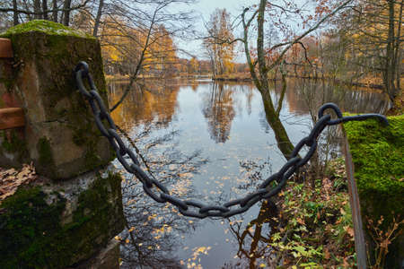 Golden autumn in the park: colorful fallen leaves in the water, pond, old bridge, chain, Sestroretsk, Dubki.の写真素材
