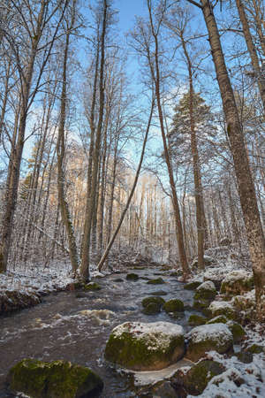 First snow on the forest rapids of Finnish Nukarinkoski: sunny October day.の写真素材