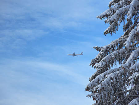 Plane in distance in blue sky with light clouds and spruce tree in foreground and snow.の写真素材