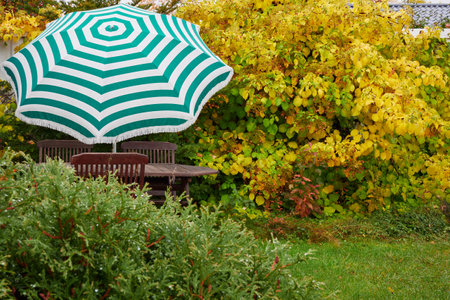 Autumn in garden: wooden furniture, umbrella, yellow leaves.の写真素材