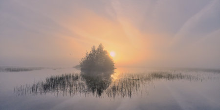 Peace and quiet on lake in summer day in blurry fog: morning, rising sun, fog.