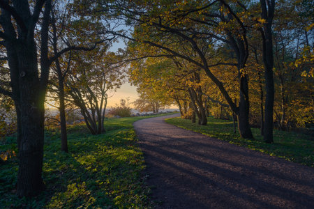 Alley of old park leads to sunset near shore of Gulf of Finland of Baltic Sea.の写真素材