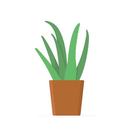 Green aloe vera plant with leaves in brown pot. Trendy flat style isolated on white background. EPS 10のイラスト素材