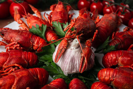 river boiled crayfish top viewの写真素材