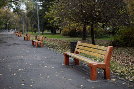 benches in the autumn Park