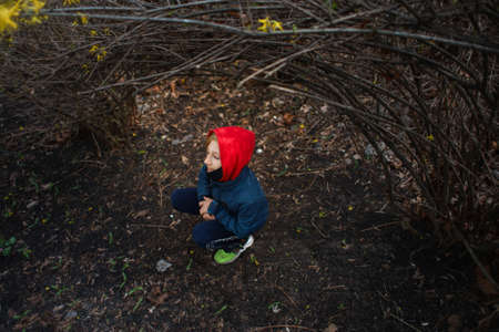A boy in a red hat is hiding and sitting near a bushの写真素材