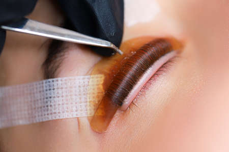 curl eyelashes glued to the roller and applied to it with a means for laminating eyelashes