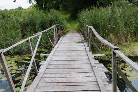 a wooden bridge that is located on the lake green water lilies and reeds grow around itの写真素材
