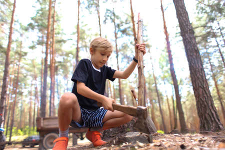 the boy is in a pine forest and is chopping wood to make a fireの写真素材