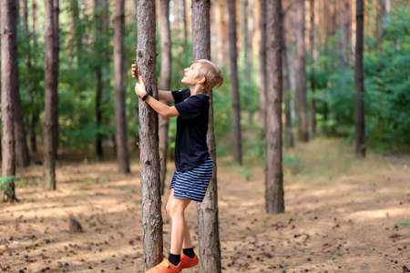 the boy is in a pine forest and he is trying to climb a pine tree
