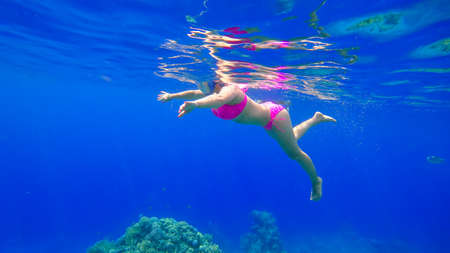 a young beautiful girl with a beautiful figure swims in the red sea is engaged in snorkelingの写真素材