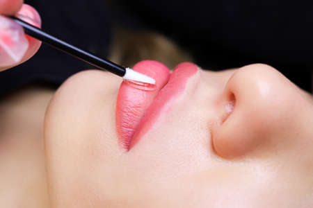 the tattoo artist distributes a drop of oil on the lips of the model with a small brushの写真素材