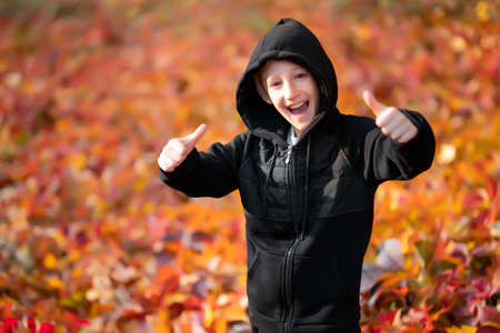 the boy, who is wearing a black hooded jacket, holds an autumn leaf in his hand.