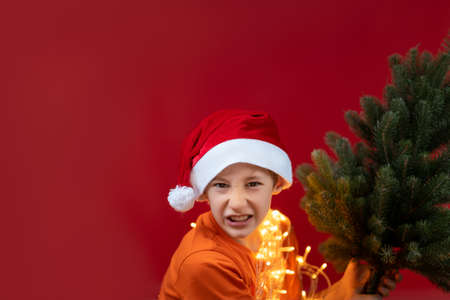 a boy in a Christmas hat Santa holds a Christmas tree in his hand and brandishes itの写真素材