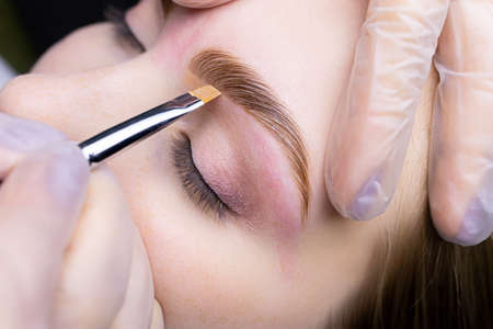 the eyebrow lamination master holds the model's eyebrow and applies a toning cream to rednessの写真素材